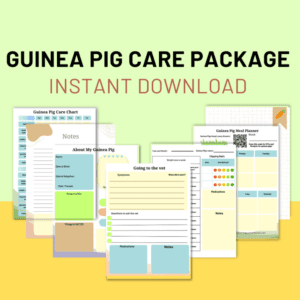 How to Make a Guinea Pig First Aid Kit & What to Put in It