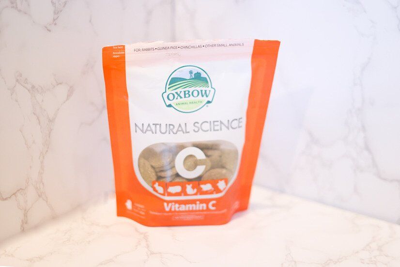 Guinea Pig Bladder Stone Surgery (Cystotomy)