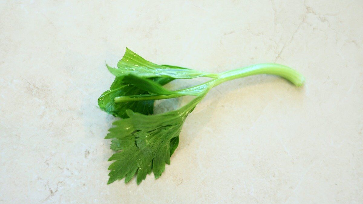 Can Guinea Pigs Eat Celery Leaves Stalks Strings