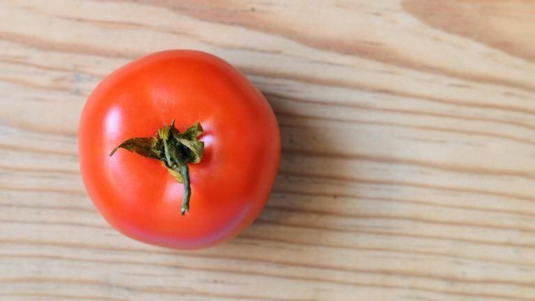 Photo inspiration: Fresh Look at List Of Low Calcium Vegetables For Guinea Pigs