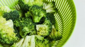 Can guinea pigs eat broccoli stalks best sale